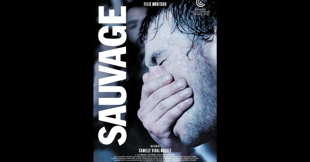 Sauvage 2018 Un Film De Camille Vidal Naquet Premierefr News Date De Sortie Critique 2552